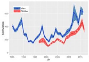 The autumn cod index has dropped sharply after rising since 2008 - @ Fiskerforum