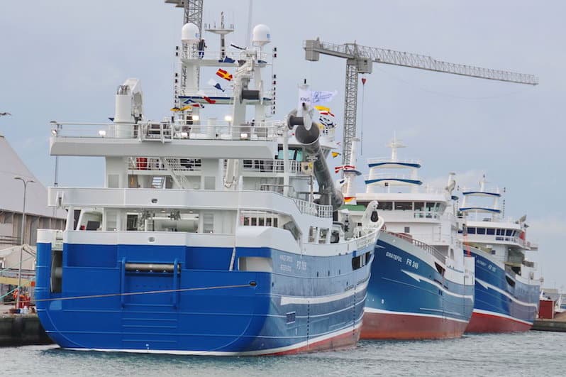 Read more about the article Pelagic fleet renewal in full swing