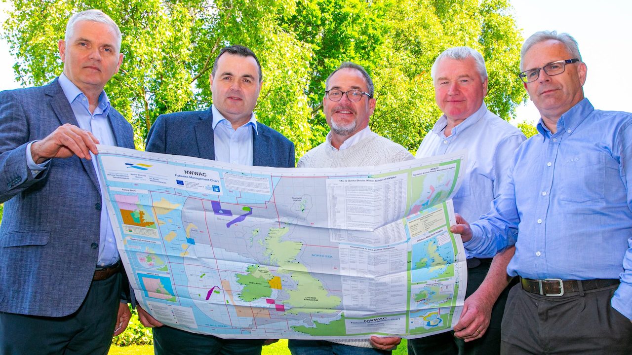 Read more about the article Irish fishing organisations unite to drive change