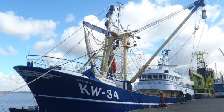 Rosemarie KW-34 is beam trawling during summer months with a pulse license. Image: WM den Heijer - @ Fiskerforum