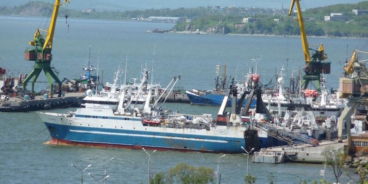 Port of Petropavlovsk-Kamchatsky - @ Fiskerforum