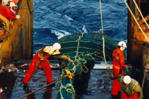 Icelandic fishermen's unions are looking to merge - @ Fiskerforum