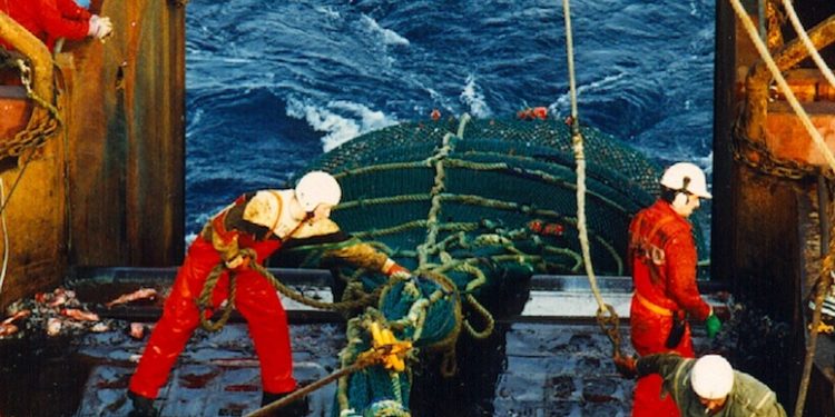 Icelandic fishermen's unions are looking to merge - @ Fiskerforum