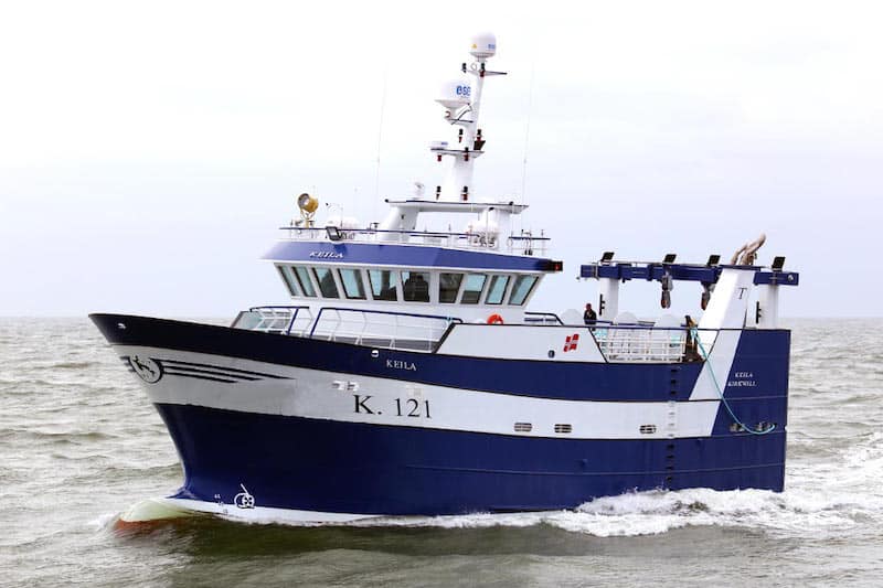 Read more about the article Kirkwall’s new Keila