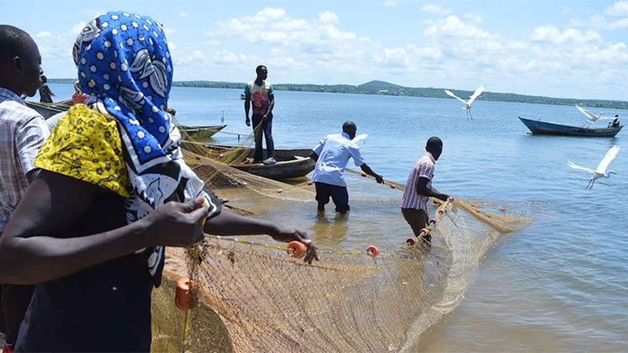 Read more about the article Kenya ratifies C188 Work in Fishing Convention