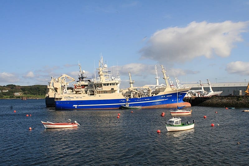 Read more about the article Irish fisheries sector encouraged by UK-EU declaration