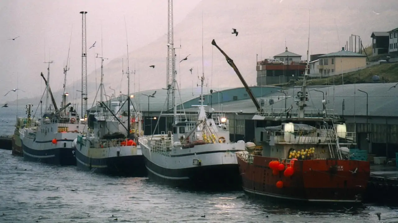 Read more about the article MSC approves Faroese cod and haddock