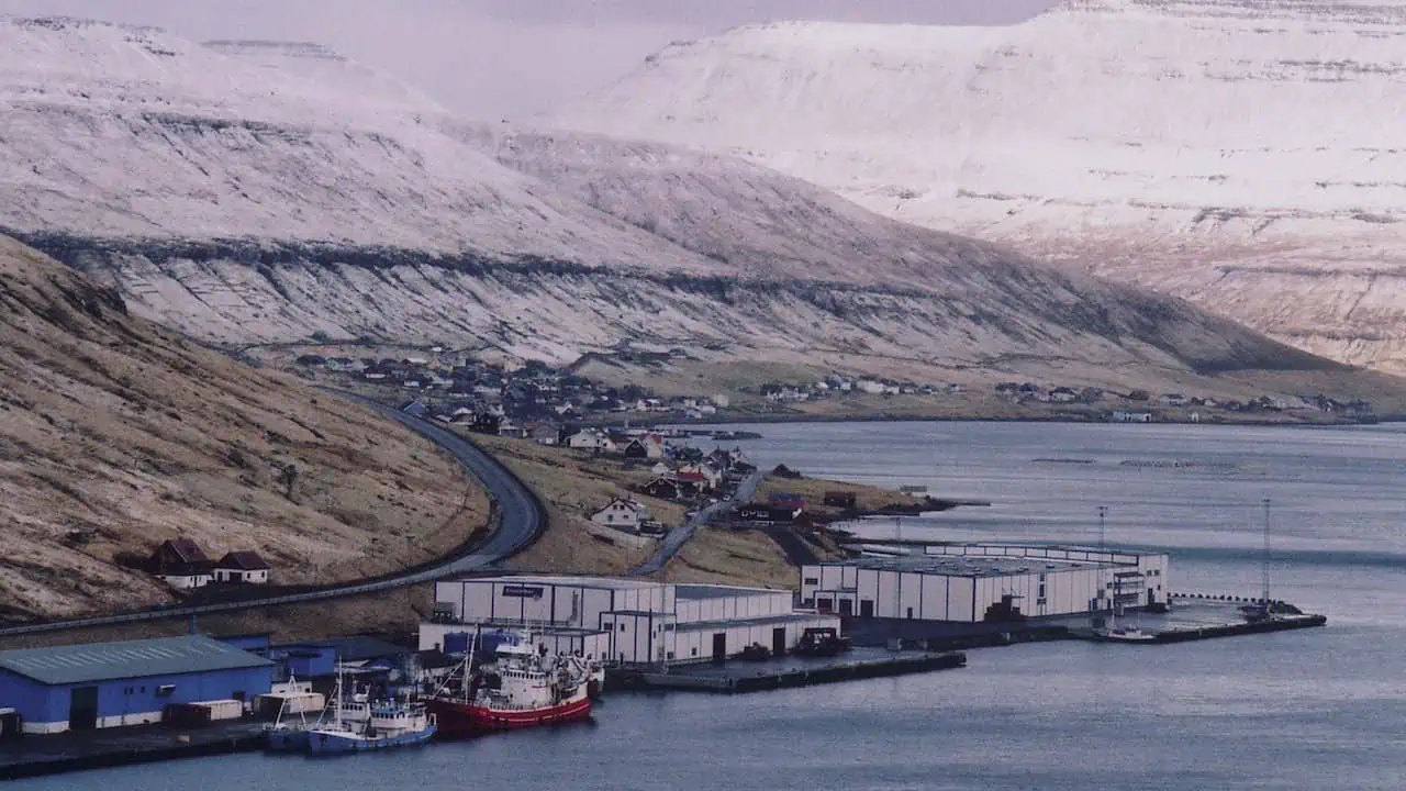 Read more about the article Pelagos acquires Kollafjørður pelagic factory