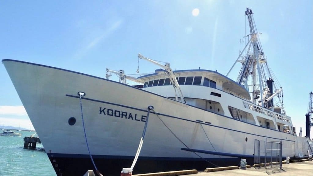 Read more about the article Tuna seiner bargain waiting to be snapped up?