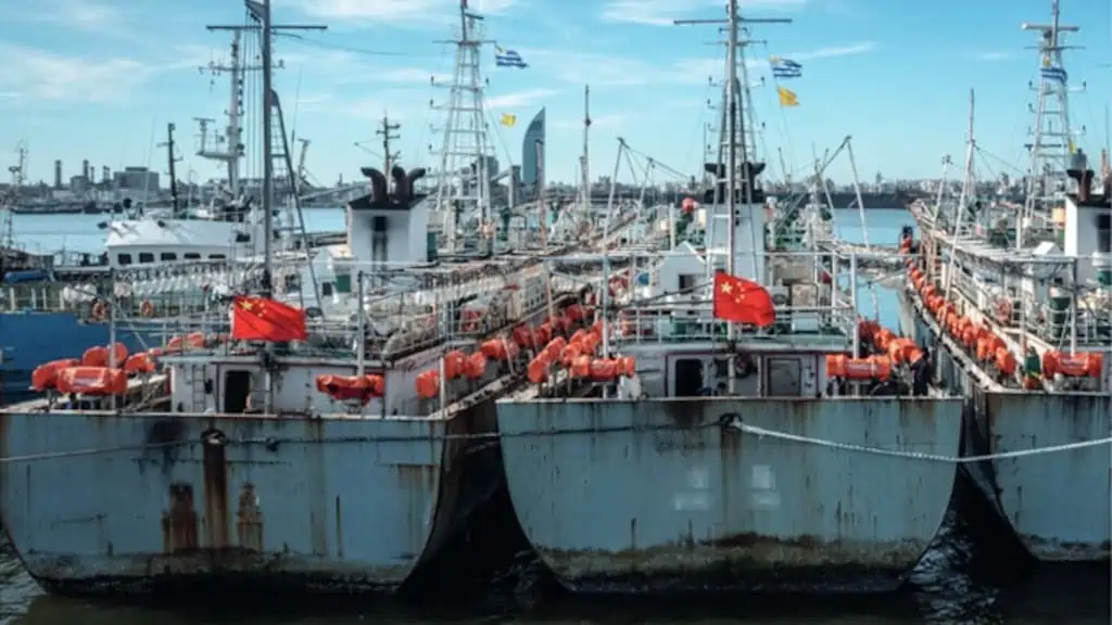 Read more about the article European ACs adopt joint position on Chinese distant waters fishing
