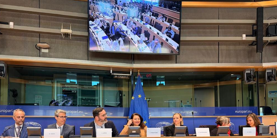 Read more about the article EU distant water fisheries stakeholders present their views at EP