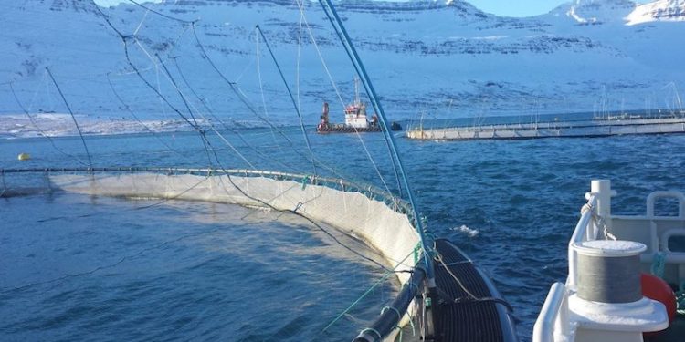 Icelandic Aquaculture