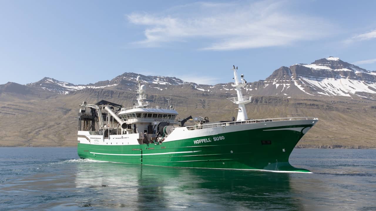 Read more about the article New CEO for Loðnuvinnslan