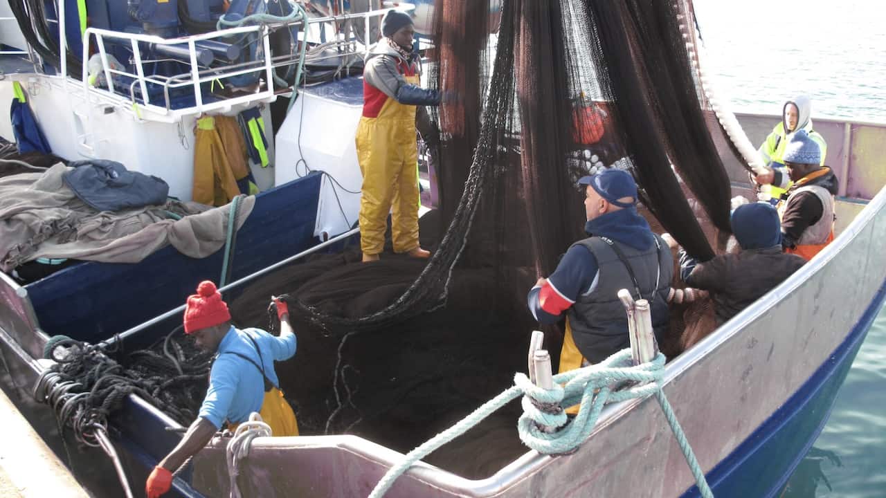 Read more about the article Ethics Alliance demands action on labour issues