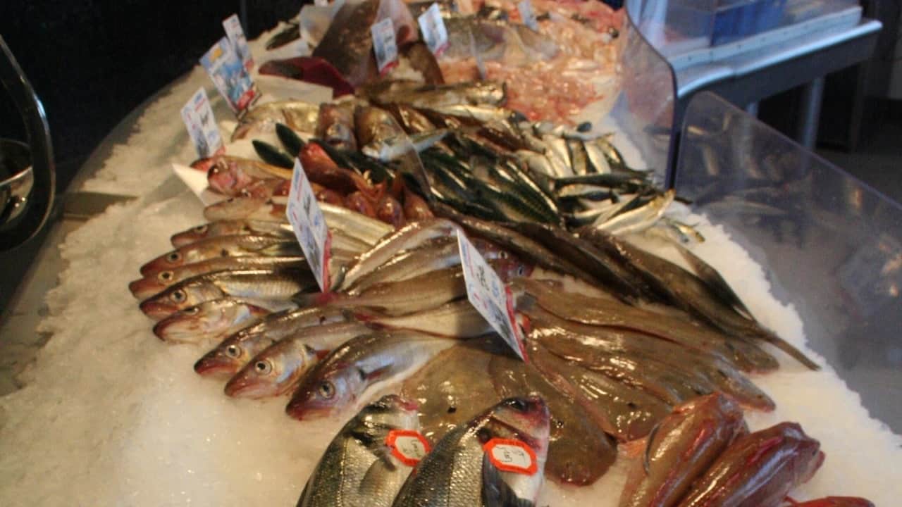 Read more about the article Europêche slams EU zero-duty seafood import policy