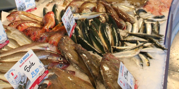 Aquatic foods excluded from EU protein agenda
