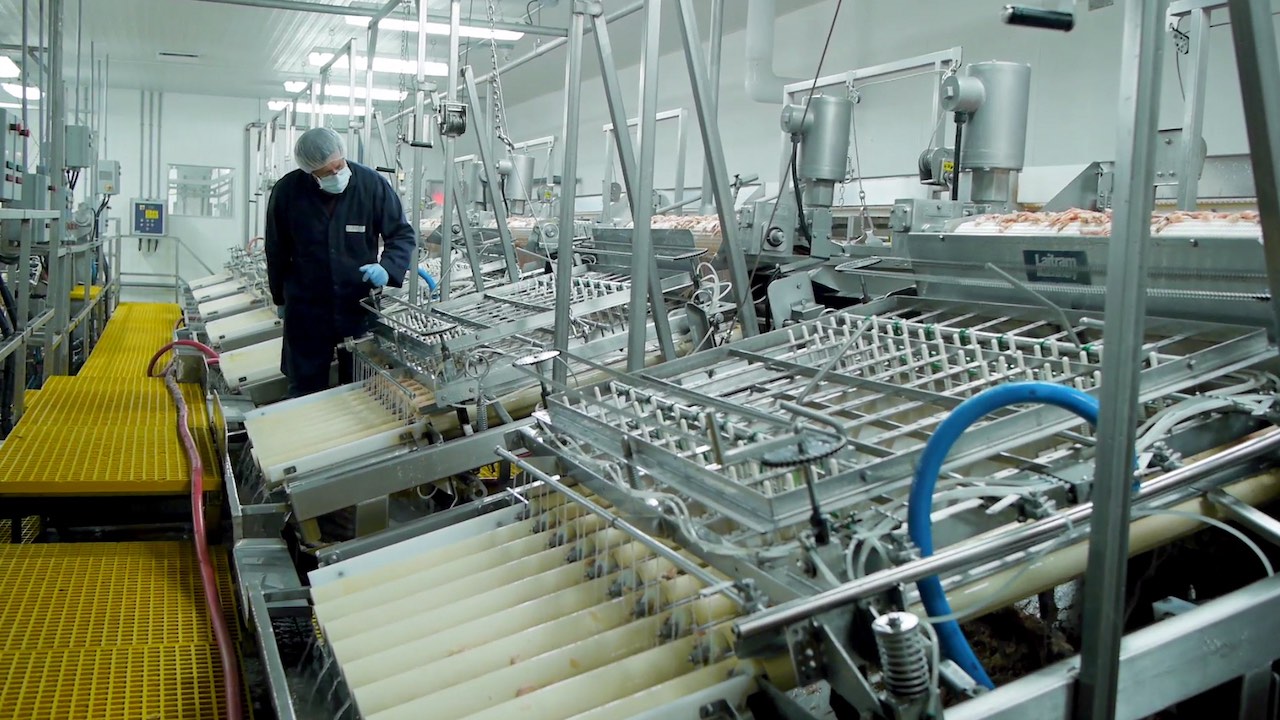 Read more about the article Shrimp peeling pioneer Laitram acquires Martak’s systems