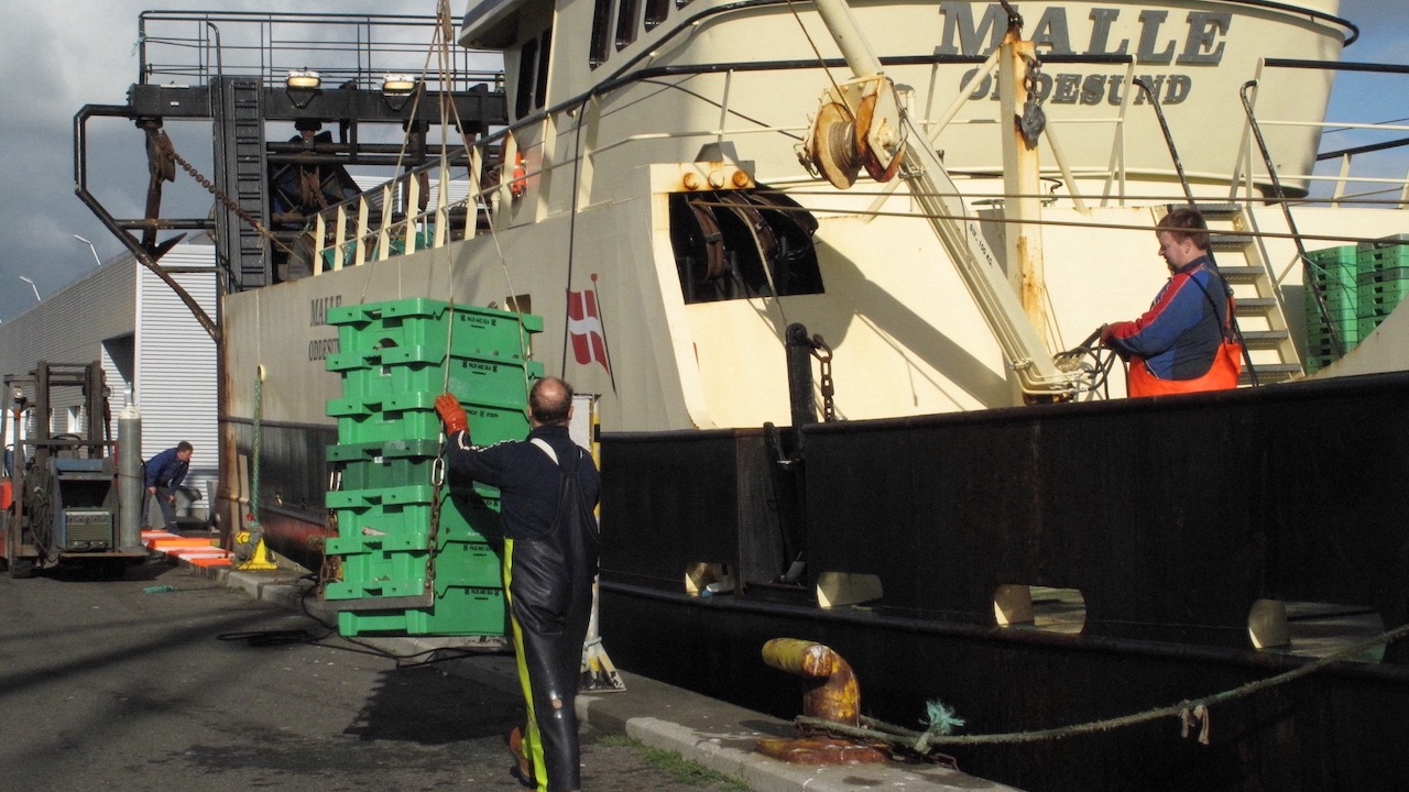 Read more about the article Key exhibition showcases Danish ports