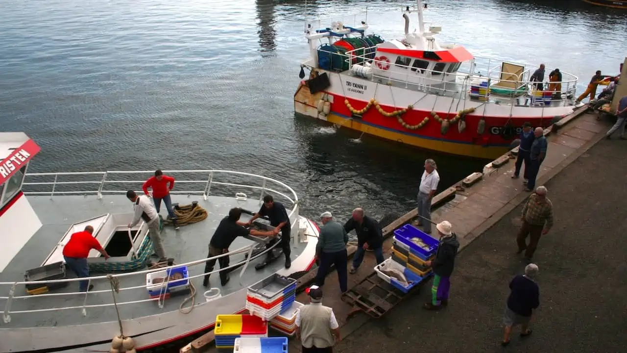 Read more about the article European fishermen call for emergency measures to meet fuel crisis