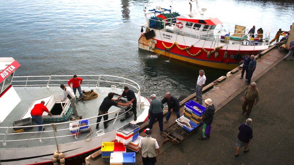 Read more about the article Revamped EU rules in force