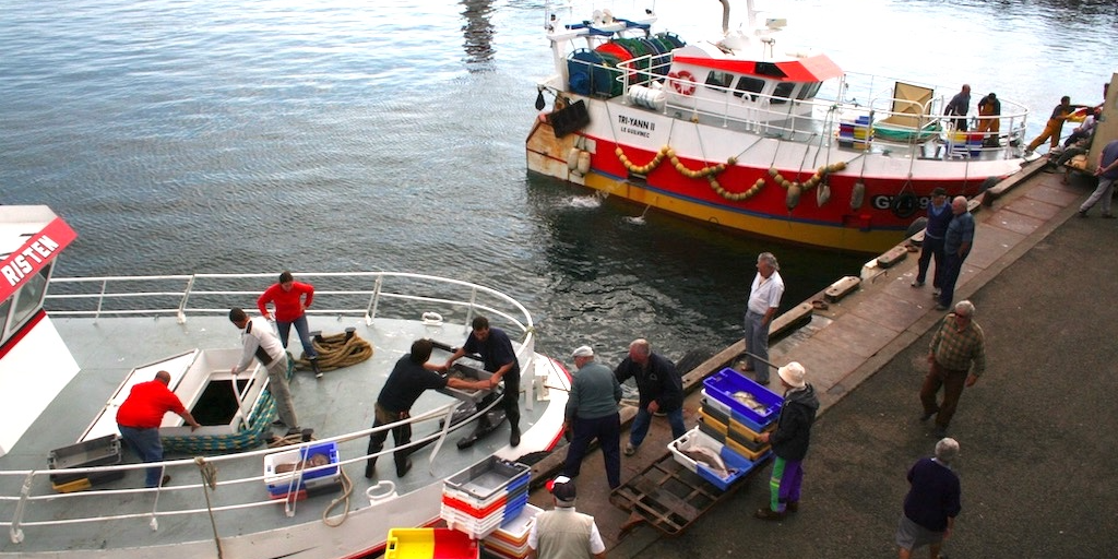 Read more about the article No miracles in 2026 TACs and quotas