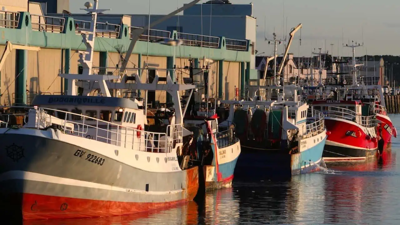 Read more about the article Government pledges ongoing support for French fisheries