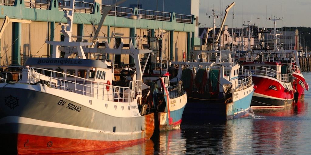 Read more about the article Highlighting the role of demersal fishing