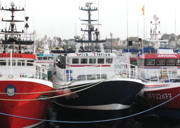 Minister aspires to opening a real path to transition