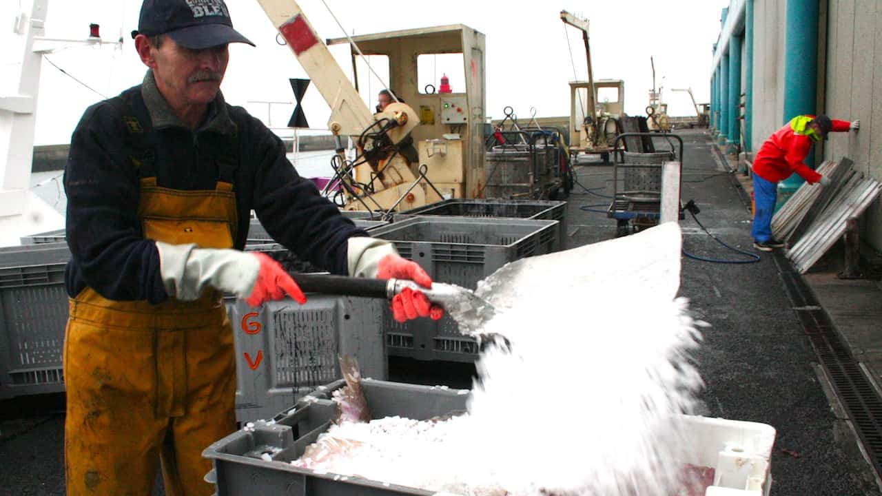 Read more about the article Political agreement on Nature Restoration Law a disappointment