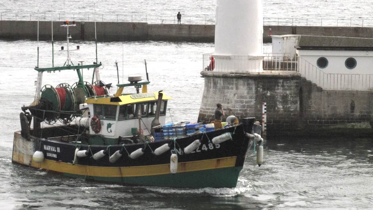 Read more about the article European fishing sector calls for action