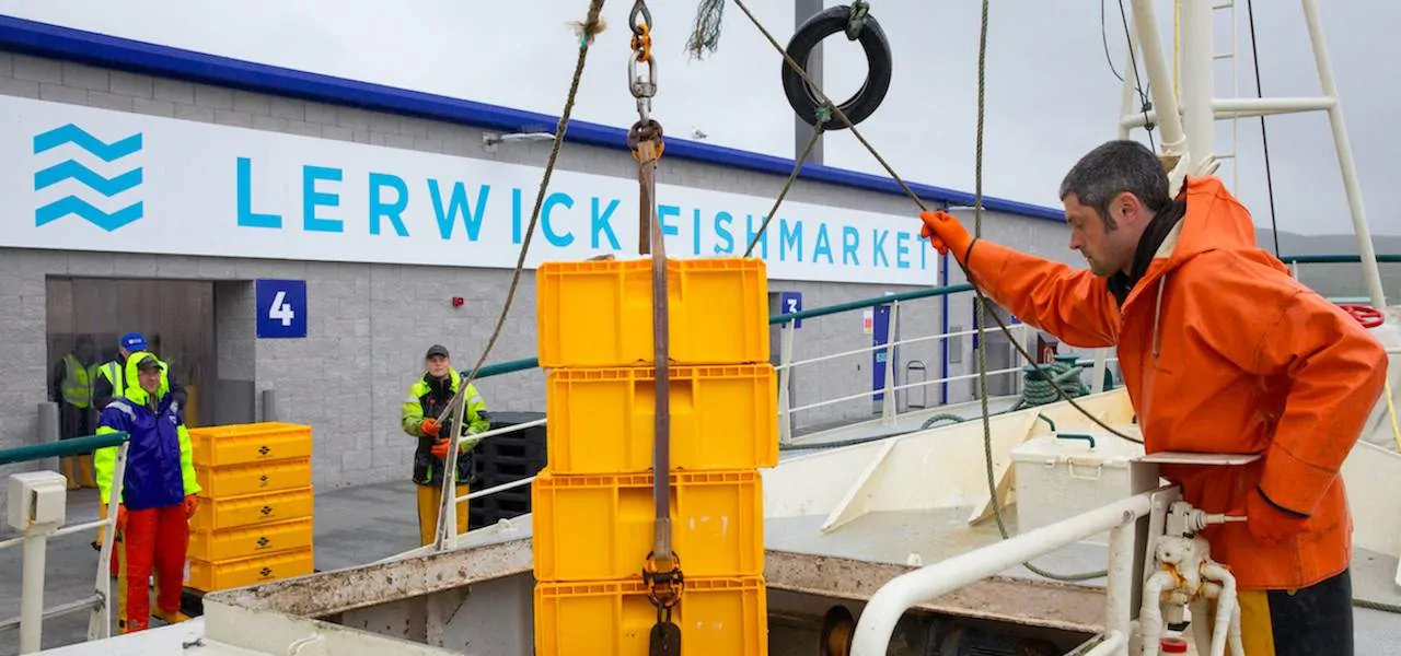 Read more about the article Lerwick’s new market takes first landings