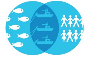 How can scientists learn from fishermen.  Ill.: - @ Fiskerforum