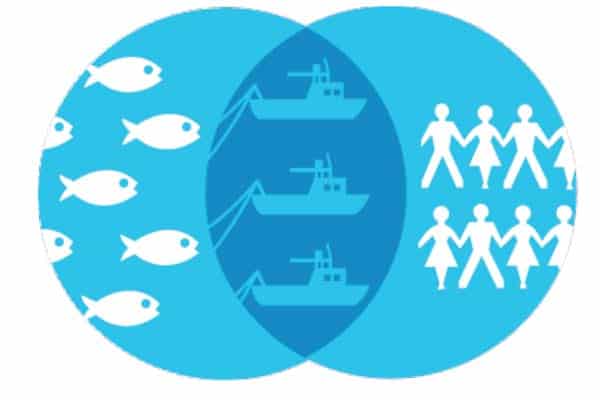 Read more about the article How can scientists learn from fishermen