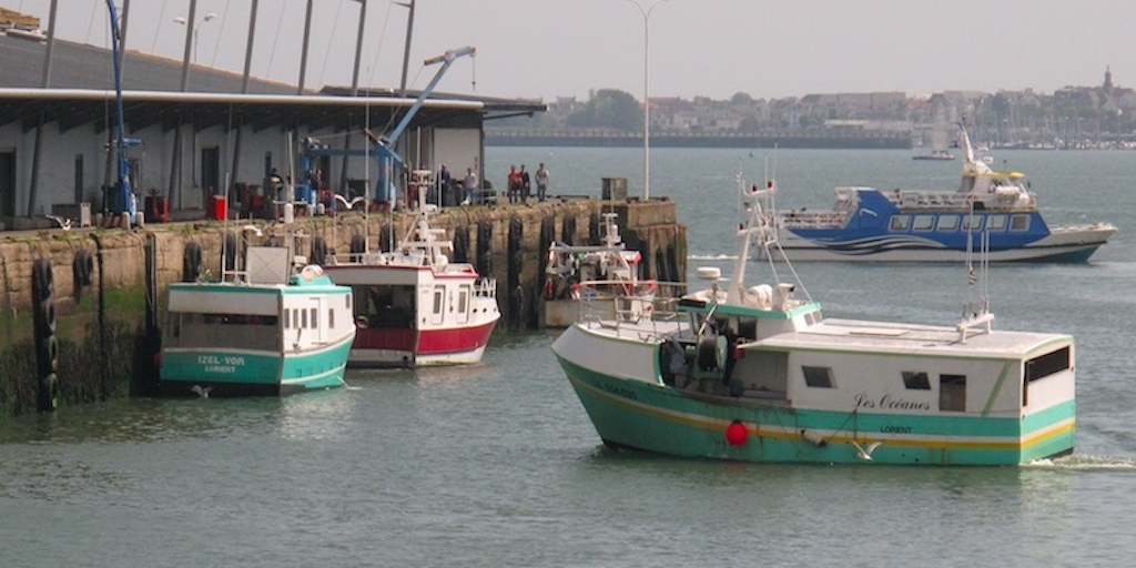 Read more about the article Third year of Bay of Biscay shutdown