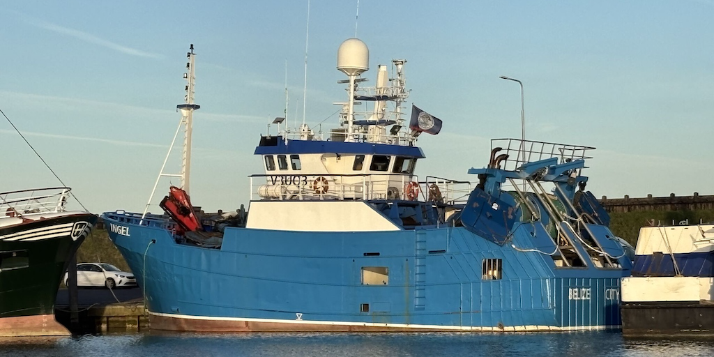 Read more about the article Heading for warmer waters