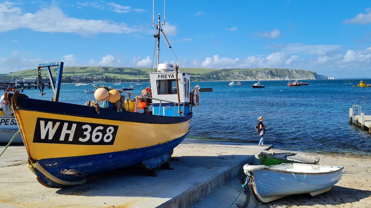 Read more about the article Urgent policy action needed on declining UK fisheries