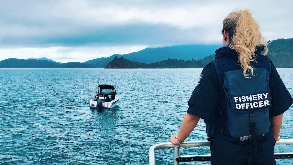 Read more about the article Heavy fine for illegal seaweed harvest