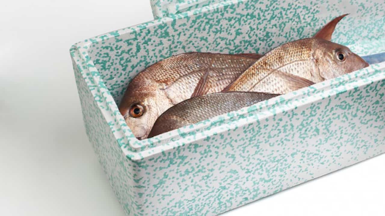 Read more about the article Eco-packaging for seafood