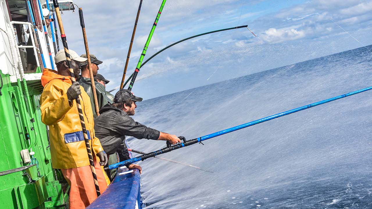 Read more about the article Bay of Biscay albacore fishermen gain MSC certification