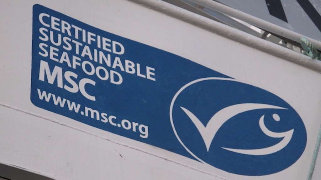 Read more about the article Forced labour identified on MSC-certified fishing vessels