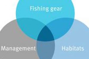 Better knowledge of fishing gear is key to minimising sea bed impacts - @ Fiskerforum