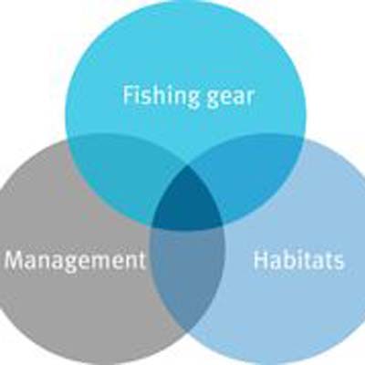 Read more about the article Better knowledge of fishing gear is key to minimising sea bed impacts