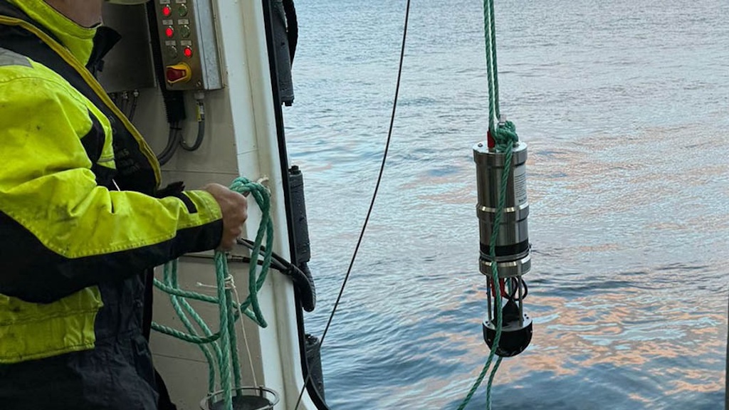 Read more about the article MSC puts funding behind support for sustainable fishing