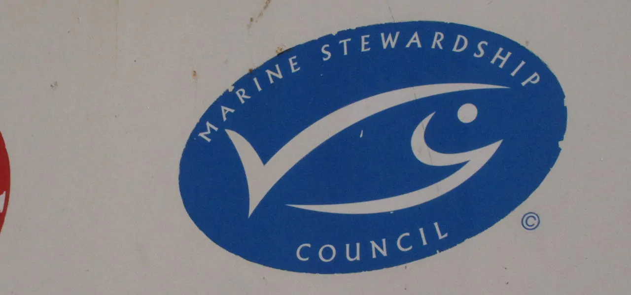 Read more about the article MSC approves first bluefin fishery