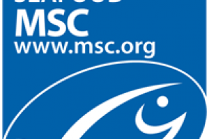 FIUN Barents and Norwegian Seas cod and haddock fishery earns MSC certification.  Logo. MSC - @ Fiskerforum