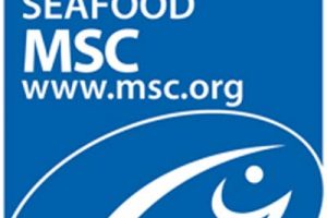 Lake Erie multi-species fishery in Canada enters MSC assessment.  Photo: MSC logo - @ Fiskerforum
