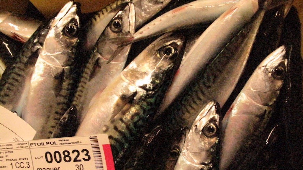 Read more about the article Norwegian operators accuse EU of Trump tactics