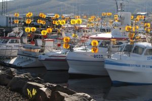 Coastal boats in northern Iceland rigged for mackerel - @ Fiskerforum