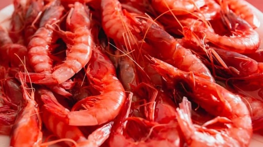 Read more about the article Spain increases Med red shrimp catch limits