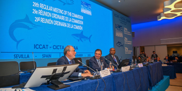 Bluefin – species recovery and economic profitability are compatible